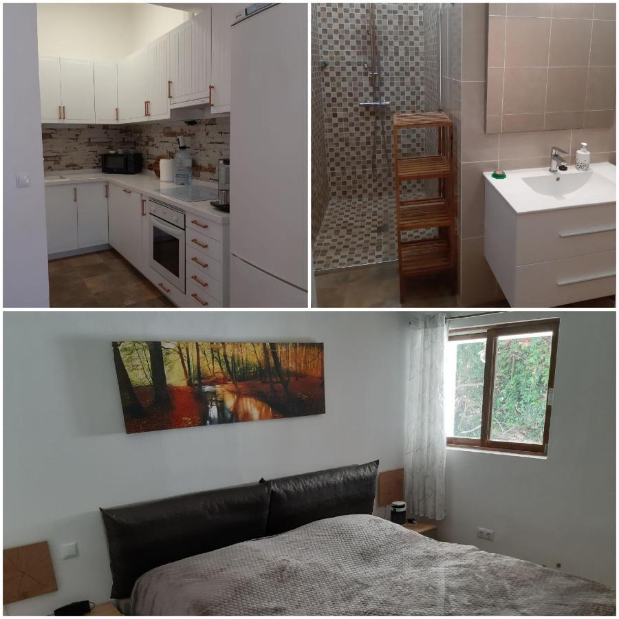 Schoene Wohnung In Puerto De La Cruz Mit Garten. Bagian luar foto